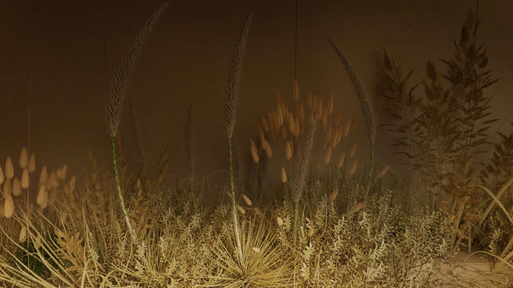 Hermes_PE24_zoom_plante_3